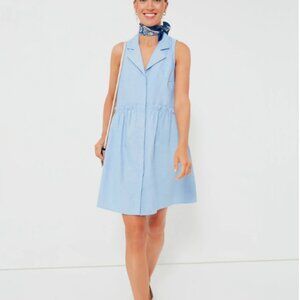 Oxford Blue Sleeveless Royal Shirt Dress